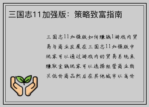 三国志11加强版：策略致富指南