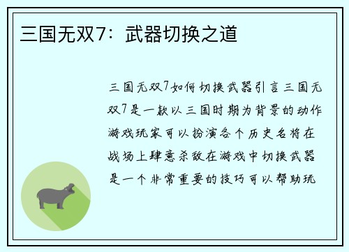 三国无双7：武器切换之道